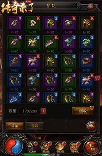 咏王最新传奇装备爆料怎么获得,揭秘获取途径与神秘生成机制